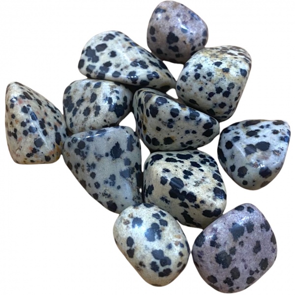 Jasper - Dalmation - Tumblestone